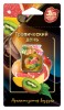  J-10 Ароматизатор мембранный подвесной серии "Jam Perfume" Тропический день J-10